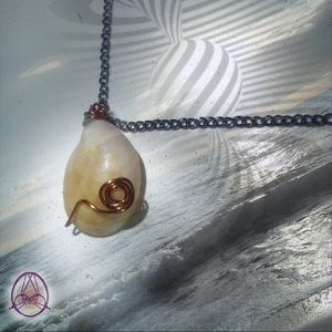 Slippersnail Sea Shell Necklace